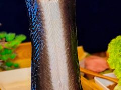 -银座苑烧肉酒场·烤活鳗(仙霞路店)