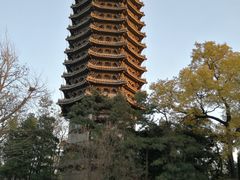 -鄱阳湖·江西小炒·瓦罐煨汤(五道口店)