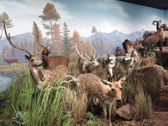 -陕西自然博物馆