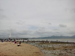 -深圳湾公园(南山区)