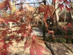 -漕河泾街道图书馆(漕河泾社区文化活动中心店)