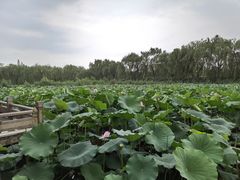 -美味居(古城店)