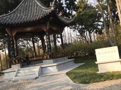 -梅园