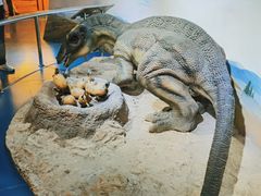 -国家自然博物馆