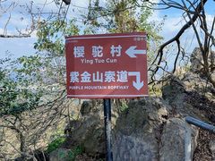 -紫金山天文台