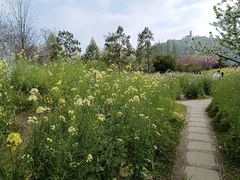 -苏州上方山国家森林公园