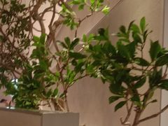 -左庭右院鲜牛肉火锅(金山万达店)