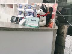 -爱侣宠医·鹦鹉专科·小型哺乳类·异宠专科(灵石路店)