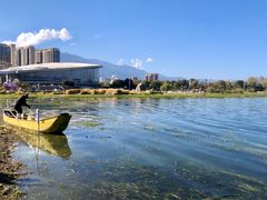 -洱海月湿地公园