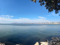 -洱海月湿地公园