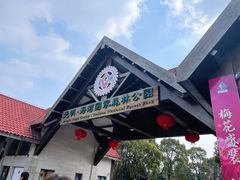 -上海海湾国家森林公园