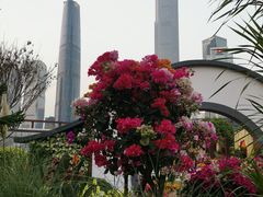 -海心沙亚运公园