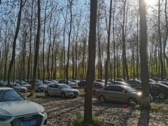 -黄海国家森林公园