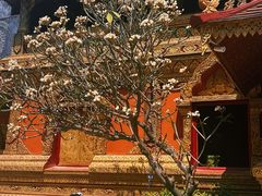 -西双版纳总佛寺