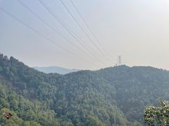 -南山植物园