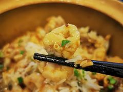 -红星光发煲仔饭(文海店)