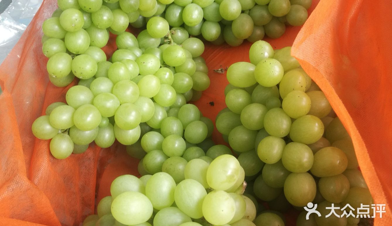 慈溪本地金皇后葡萄上市啦甜度刚刚好