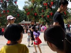 -广东茂名森林公园