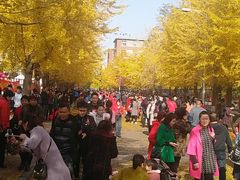 -辽宁大学(崇山校区)