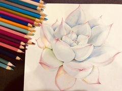 -一品格美术·中考高中成人美术培训