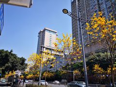 -韩包子(建设路店)
