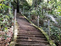 -七仙岭温泉国家森林公园