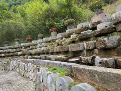 -靖西鹅泉风景区
