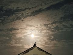 -同里湖度假村(二期店)