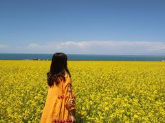 -青海湖国家重点风景名胜区