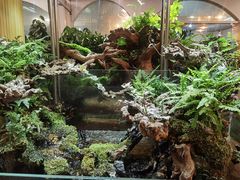 -双季花艺园艺市场(浦东店)