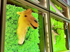 -彩虹之约•淮扬家宴(亚运村店)