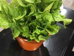 -古乐牛香·鲜牛肉牛杂火锅(五一中路店)