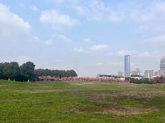 -苏州湾体育公园
