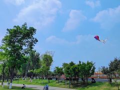 -府河摄影公园