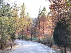 -白水寺森林公园