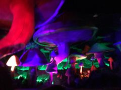 -东部华侨城