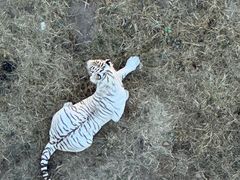 -西霞口神雕山野生动物世界