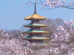 -堤角公园