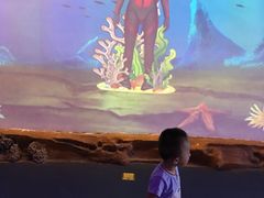 -芜湖新华联大白鲸海洋公园