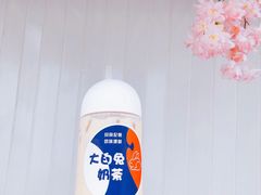 -猫的魔法密林(衣裳街店)