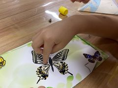 -上海昆虫博物馆