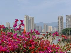 -琴亭湖公园