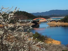 -广州市流溪河国家森林公园