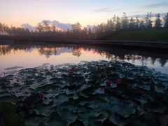 -春花秋色城市公园