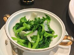 -润苑·悦椿轩(徐汇万科中心一期店)
