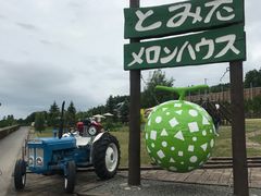 -富田农场