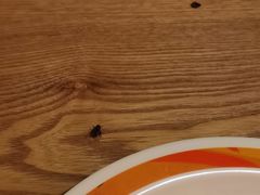 -比格比萨自助(德思勤四季汇店)