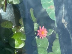 -昆山城市生态森林公园