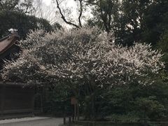 -热田神宫