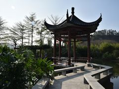 -广州神农草堂中医药博物馆